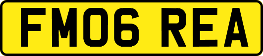 FM06REA