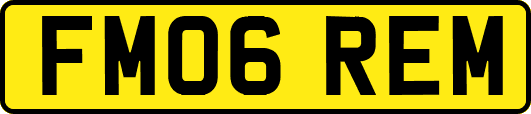 FM06REM