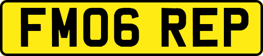 FM06REP