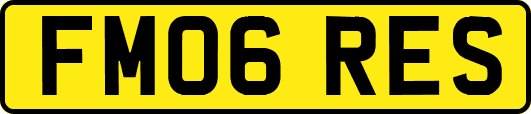 FM06RES