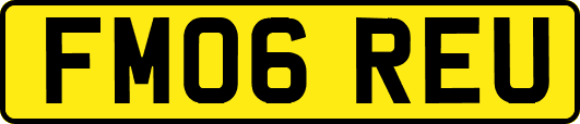 FM06REU