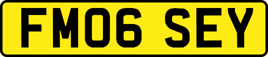 FM06SEY