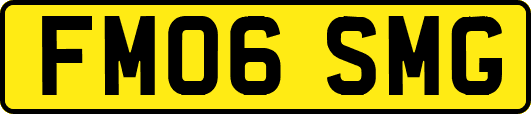 FM06SMG