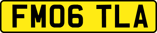 FM06TLA