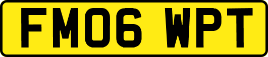 FM06WPT