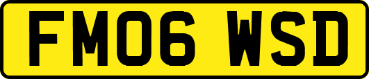 FM06WSD