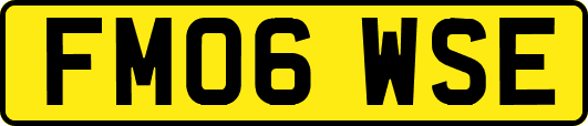 FM06WSE