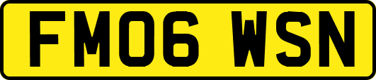 FM06WSN