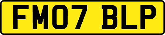 FM07BLP