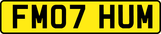 FM07HUM