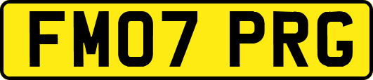FM07PRG