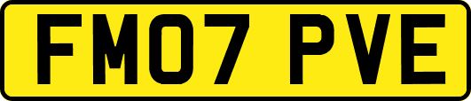 FM07PVE