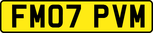 FM07PVM