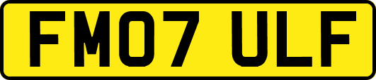 FM07ULF