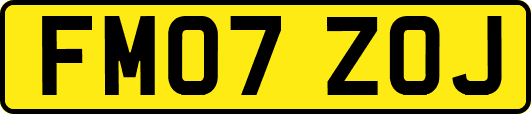 FM07ZOJ