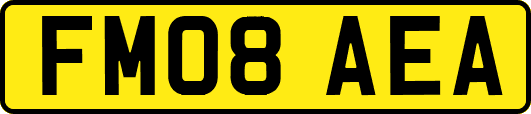 FM08AEA