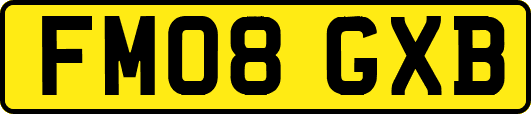 FM08GXB