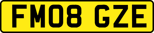 FM08GZE