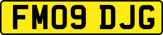 FM09DJG