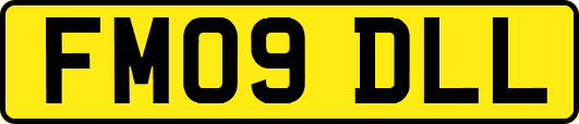 FM09DLL