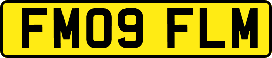 FM09FLM