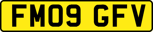 FM09GFV