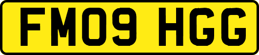 FM09HGG
