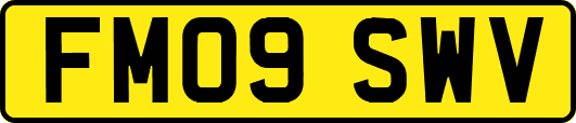 FM09SWV