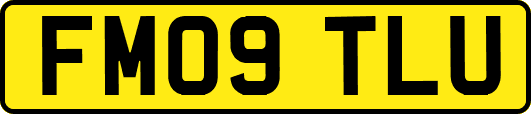 FM09TLU