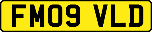 FM09VLD