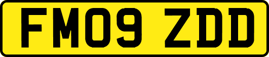 FM09ZDD