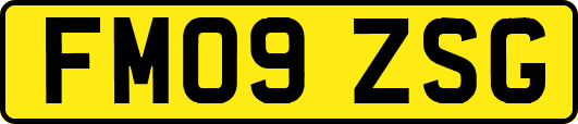 FM09ZSG
