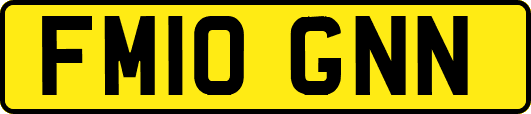 FM10GNN