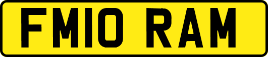 FM10RAM