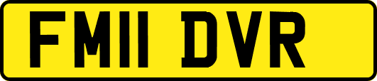 FM11DVR