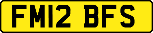 FM12BFS