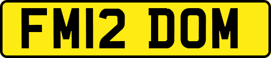 FM12DOM