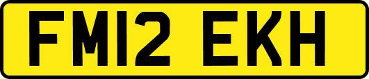FM12EKH