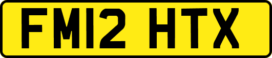 FM12HTX