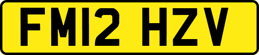FM12HZV