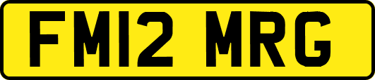 FM12MRG