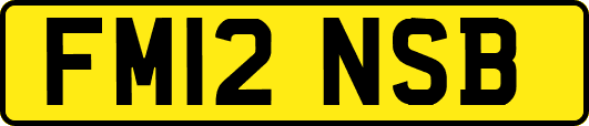 FM12NSB