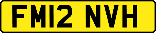 FM12NVH