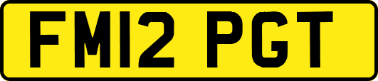 FM12PGT