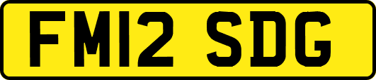FM12SDG