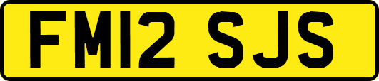 FM12SJS