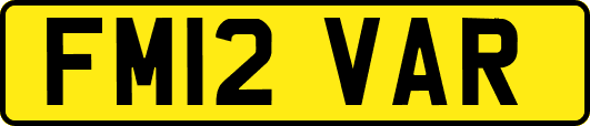 FM12VAR
