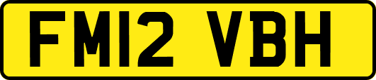 FM12VBH