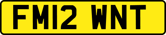 FM12WNT