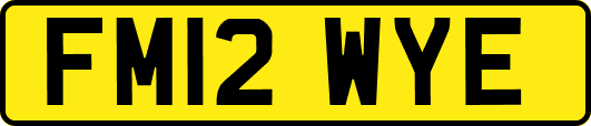 FM12WYE